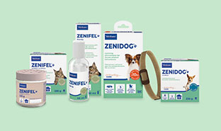 Design ohne Titel - 1 Design ohne Titel - 1